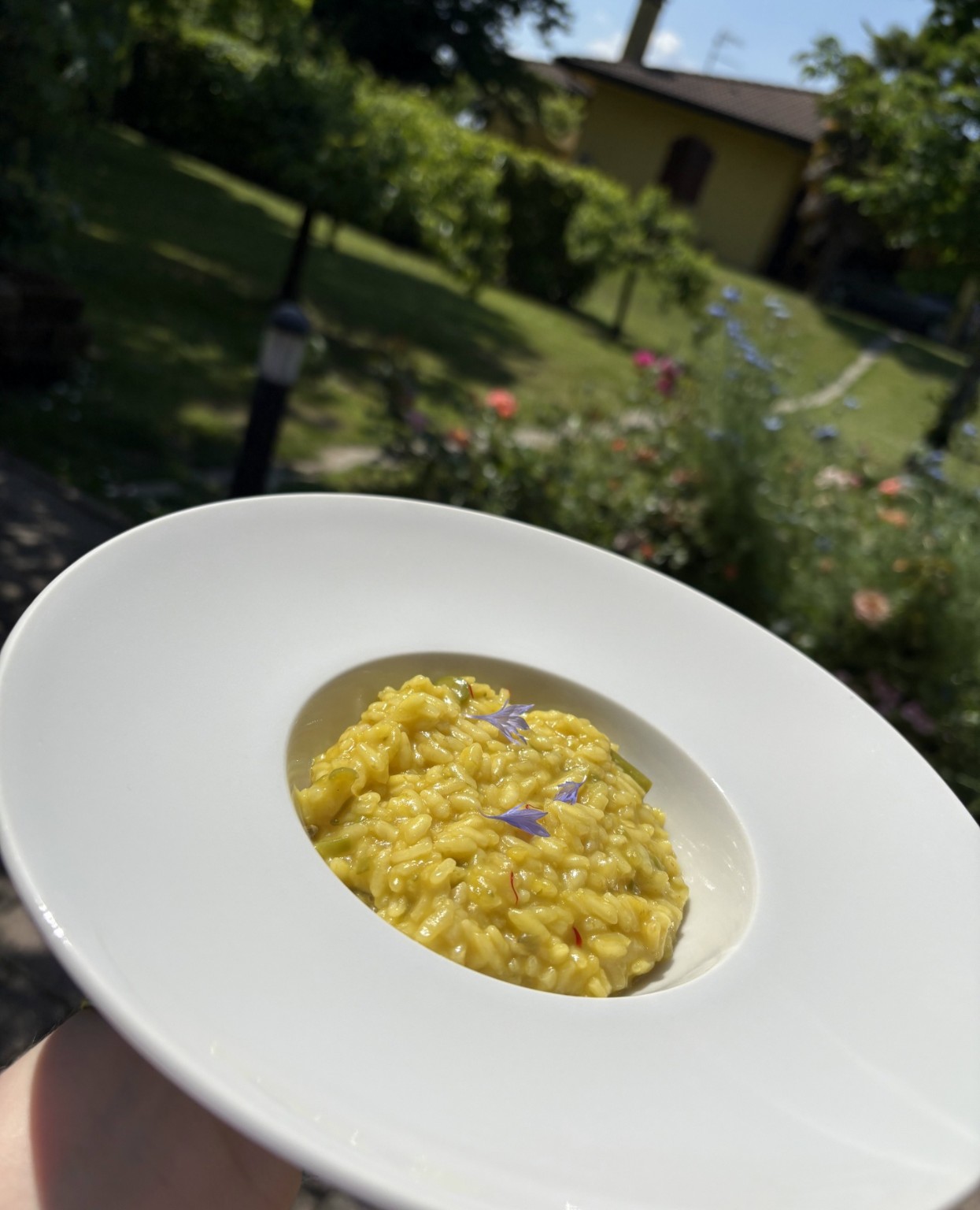 Risotto decorato con petali di fiori