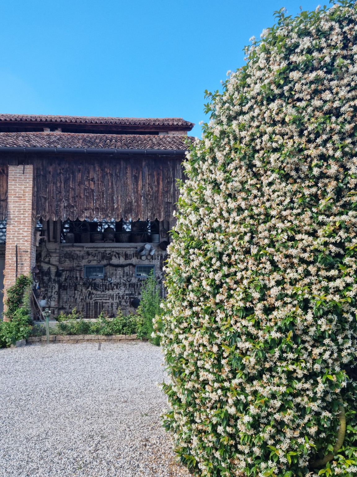 Il portico della parte storica tra i rampicanti
