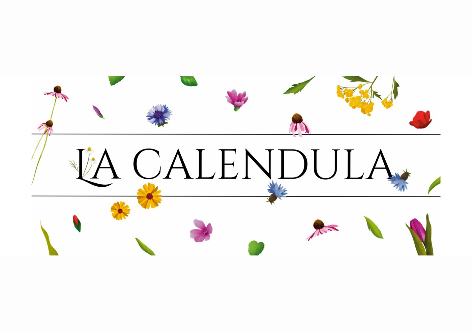 La Calendula
